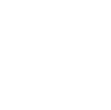 Interimsmanagement mit LECON